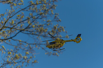 ADAC Emergency Rescue Helicopter behind a tree in the wind