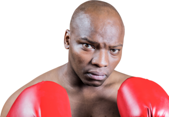Portrait of bald boxer in gloves