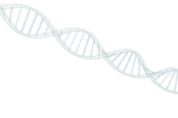3d image of DNA 