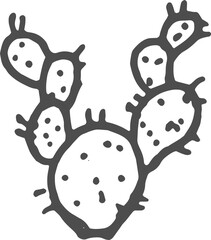 Agave americana cactus prickly plant sketch cacti