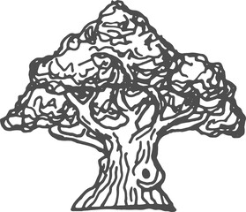 Oak tree plant engraved exotic forest sketch icon