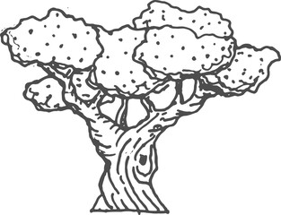 Baobab exotic tree with broad trunk, sketch icon