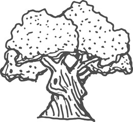 Fototapeta na wymiar Baobab sketch icon, oak or acorn exotic tree