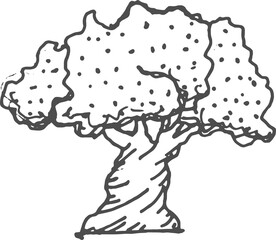 Baobab sketch icon, exotic tree of savanna nature