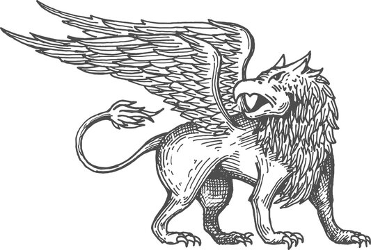 Griffin mythology creature with eagle head, lion