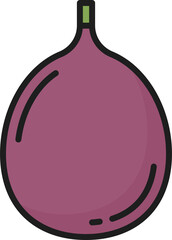 Common fig tropical fruit isolated berry line icon