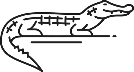 Crocodile alligator, caiman Argentina symbol