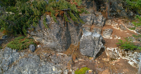High angle view of plants on mountain
