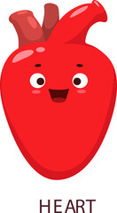 Cartoon red heart human body organ character