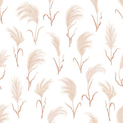 Pampass grass seamless pattern repeated background