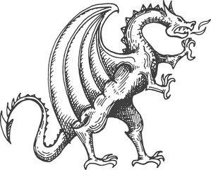 Dragon medieval heraldic animal monster sketch © Vector Tradition