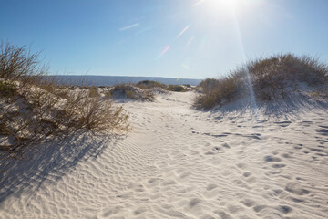 Fototapeta na wymiar White sand dunes in Mexico