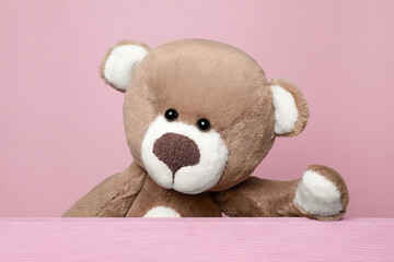 Cute teddy bear behind wooden plank on pink background