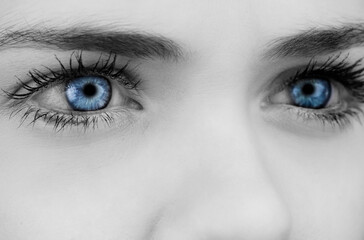 Naklejka premium Blue eyes on grey face