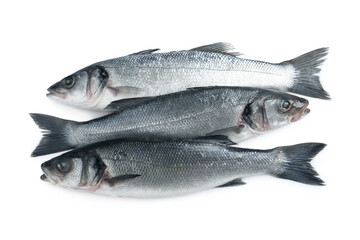 Fresh sea bass fish on white background, top view