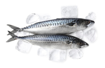 Two raw mackerels isolated on white, top view