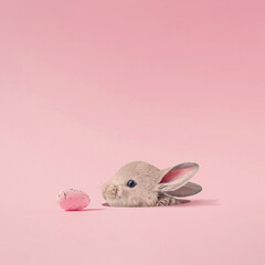 Trendy holiday composition made with Easter cute baby bunny peeking out of a hole on a pastel pink...