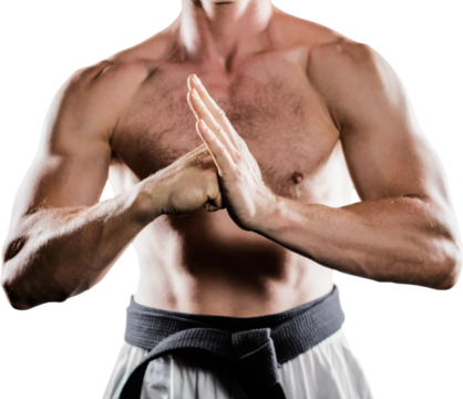 Fighter performing hand salute - Powered by Adobe