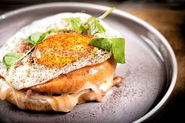 egg 