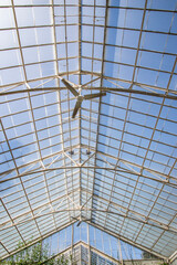 glass roof of a greenhouse
