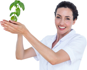 Portrait of scientist holding basil plant