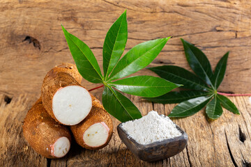 Obraz na płótnie Canvas pile of cassava, cassava and cassava flour on a background of rustic wood (Manihot esculenta)