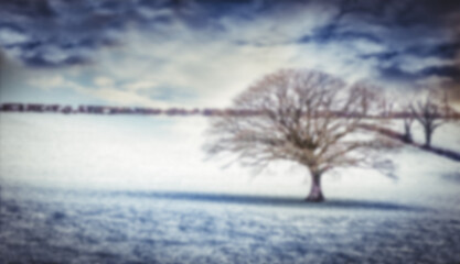 Obraz premium Bare tree on snow covered field 