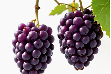 Fototapeta premium grape, fruit, grapes, fresh, healthy, wine, sweet, dessert, purple, natural