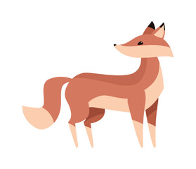 cute fox wild animal