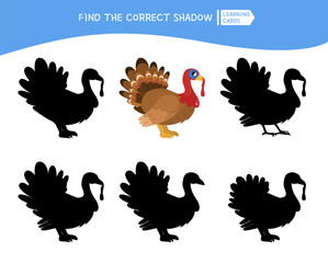 Fototapeta na wymiar Educational game for children. Find the right shadow. Kids activity with cartoon cute turkey.