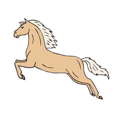 Vector hand drawn sketch colored dressage horse jumping isolated on white background