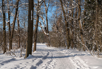 Winter landscape near the Large Pond in the Catherine Park of Tsarskoye Selo on a sunny winter day,...