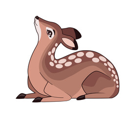cute deer animal baby