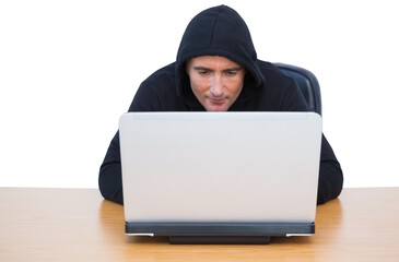 Smiling thief in hood jacket using laptop and credit card