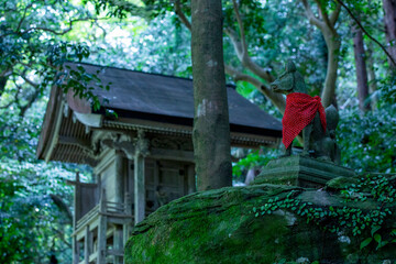 緑の神社と赤い前掛けのお稲荷さん