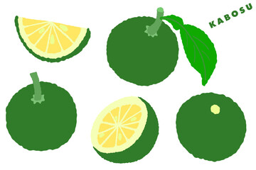 KABOSU　Citrus sphaerocarpa　illustration