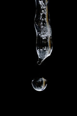 close up, macro of water drop forming and falling from single isolated icicle in front of dark background