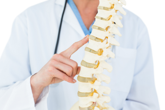 Female doctor with anatomical spine
