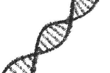 DNA  helix