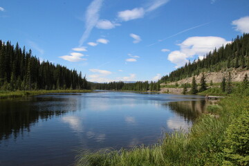 Summer On The Beaver Pond, Nordegg, Alberta