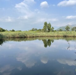 Reflection landscape in Spring