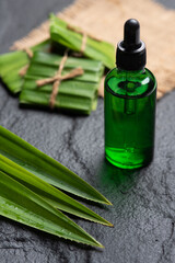 Pandan (screwpine) essential oil with fresh green pandan on dark stone background - 588594190