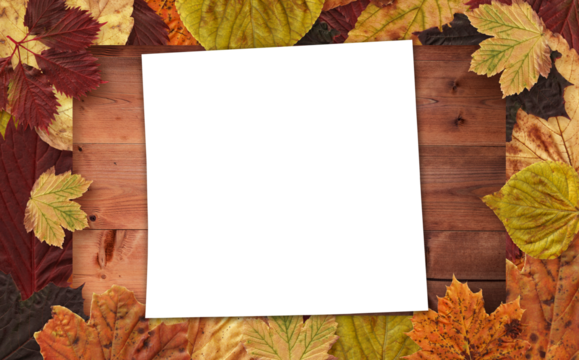Directly above shot of blank page with autumn leaves - Powered by Adobe