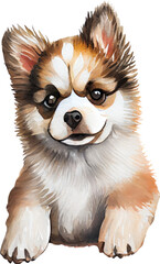 Puppy Siberian Husky Dog Watercolor. Generative AI