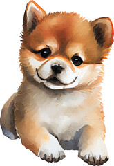 Shiba Inu Puppy Dog Watercolor. Generative AI