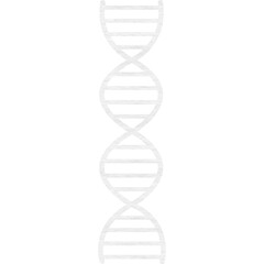 DNA over white background