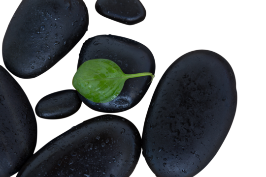 Pebbles and herbs leaf