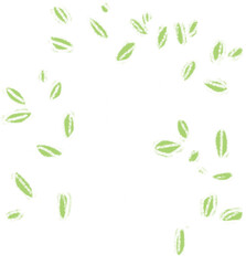 Sketch of plant on chalkboard