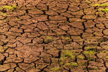 The fields are dry, the land is broken. Dry cracked soil. Dry field with some small green grass.