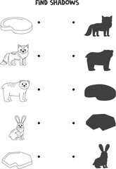 Find the correct shadows of black and white arctic animals. Logical puzzle for kids.